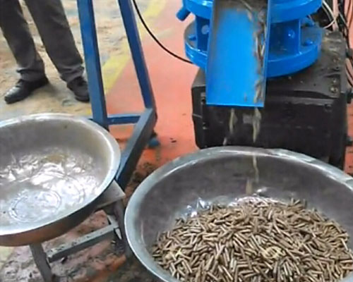 顆粒飼料機生產視頻